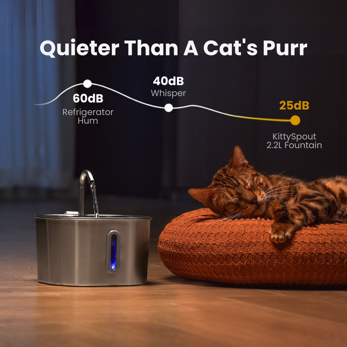 The KittySpout™ - 2.2L Hydration & Health Bundle