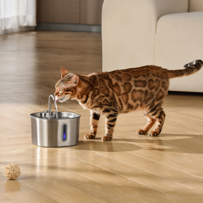The KittySpout™ - 2.2L VIP Value Bundle