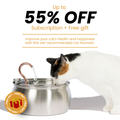 The KittySpout™ - 4L Fountain