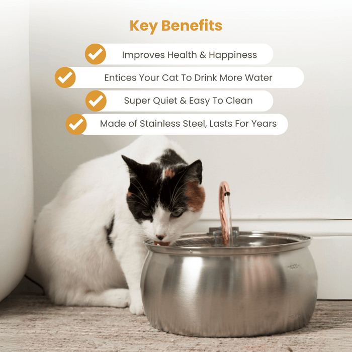The KittySpout™ - Health & Happiness Cat Kit (PP Upsell Test)