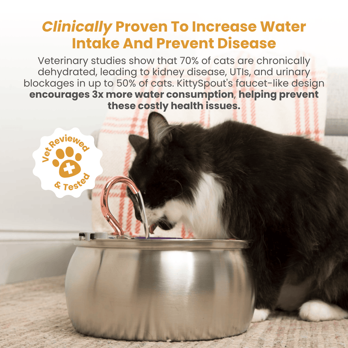 The KittySpout™ - Health & Happiness Cat Kit
