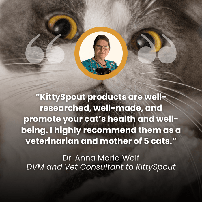 The KittySpout™ - Health & Happiness Cat Kit