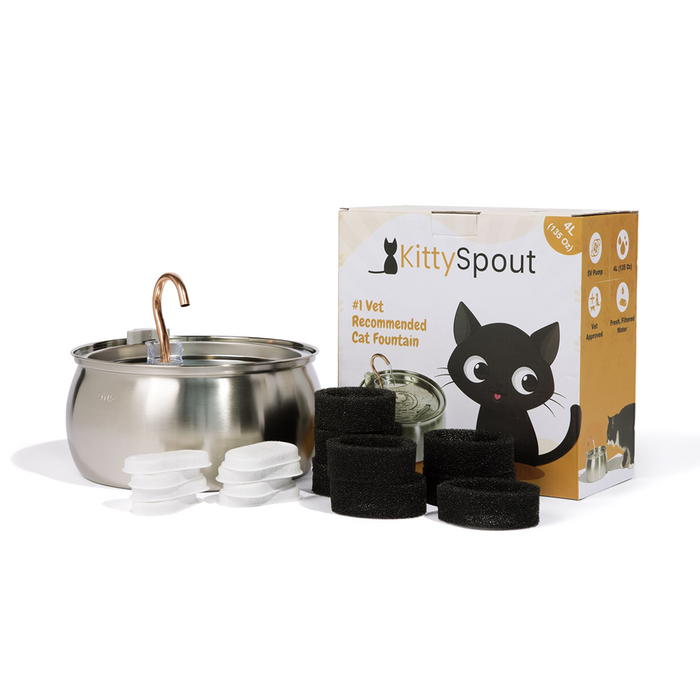 4L / 4 Month: KittySpout + 8 filter sets + AC adapter + FREE gift 🎁