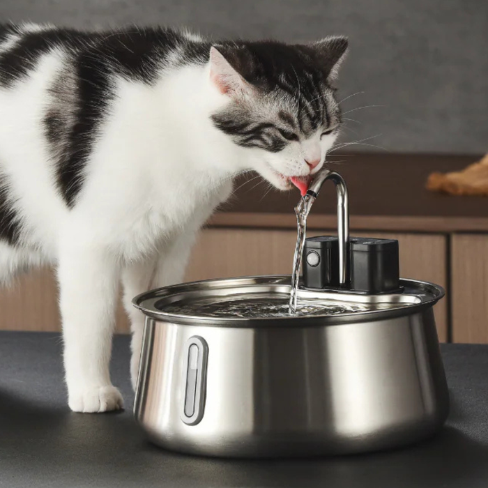 The KittySpout™ - Wireless Fountain 2.0