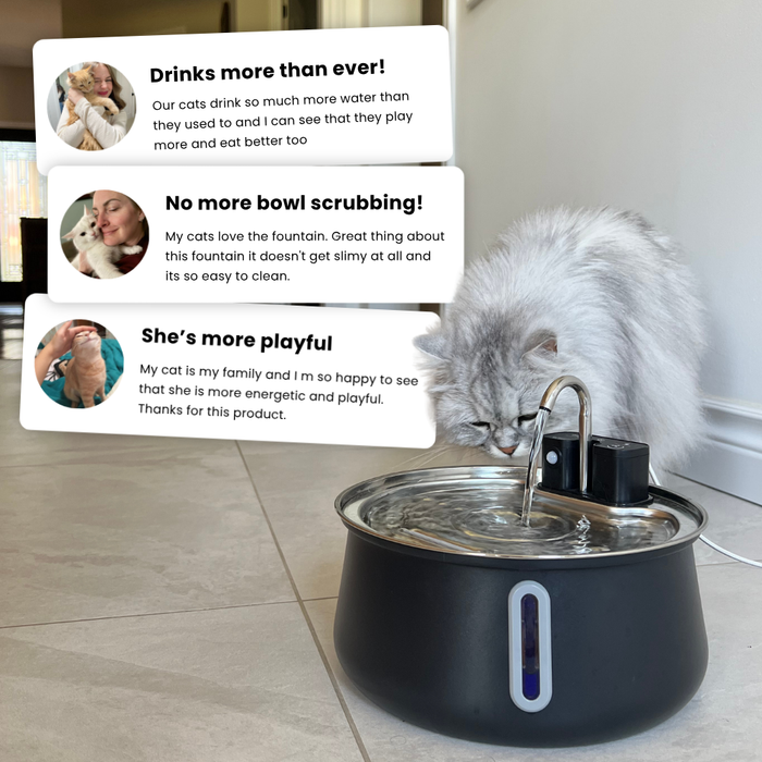 The KittySpout™ - Wireless Fountain 2.0