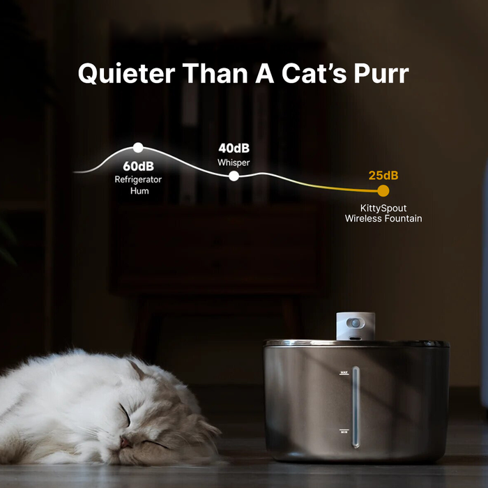 The KittySpout™ - Wireless Fountain 2–month Kit