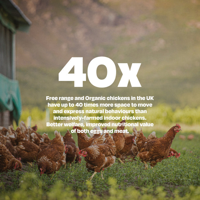 Beef & Free Range Chicken - Naturaw