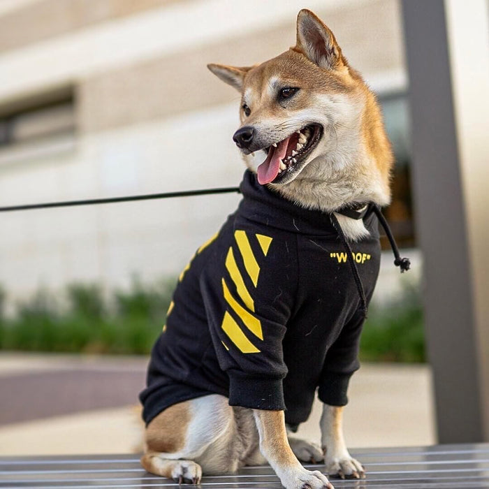 Three-Stripe Pet Sweater, Autumn and Winter Fashion
