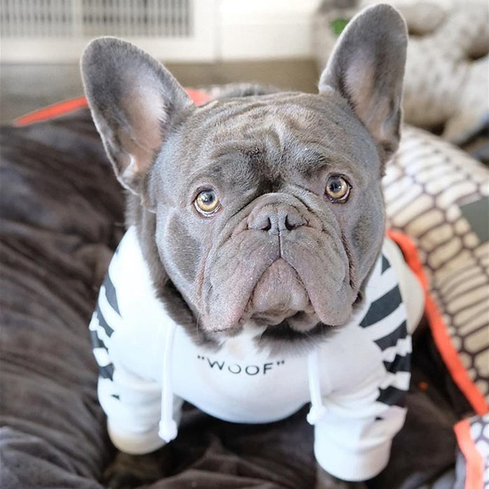 Three-Stripe Pet Sweater, Autumn and Winter Fashion