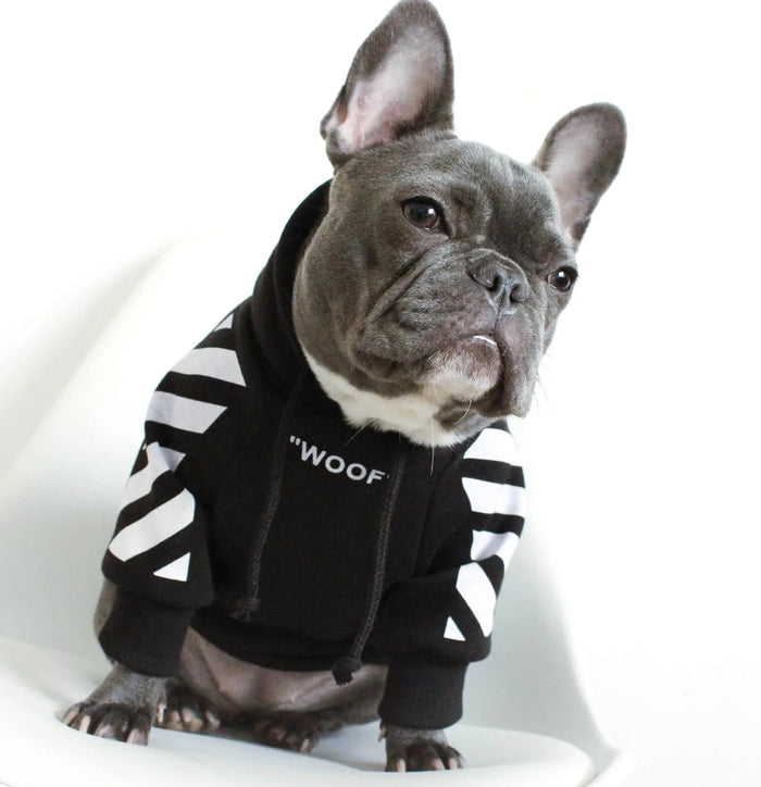 Three-Stripe Pet Sweater, Autumn and Winter Fashion