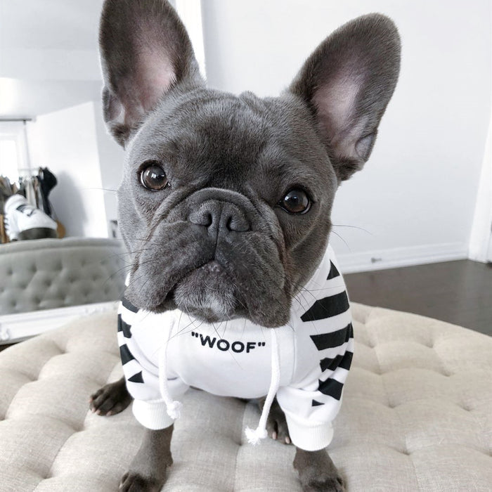 Three-Stripe Pet Sweater, Autumn and Winter Fashion