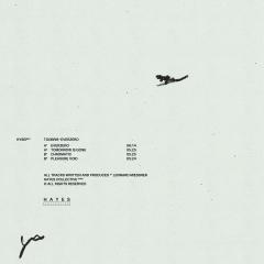 Toobris-Everzero