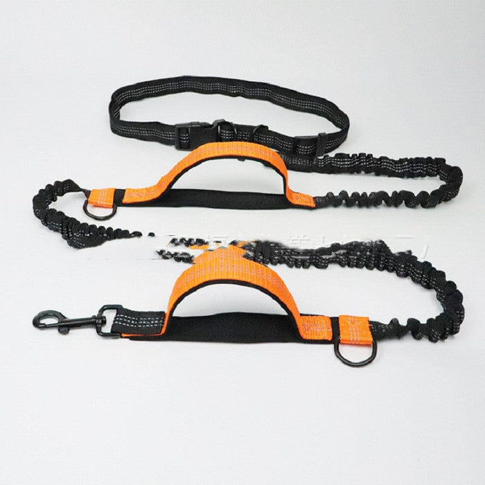 TrailFlex Running Dog Leash for Dogs – Hands-Free Adjustable Nylon Leash