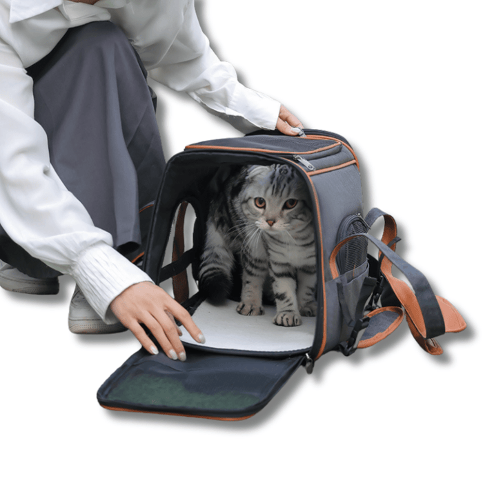 Travel Pet Carrier Car Seat for Dogs & Cats – Portable Safety Booster Seat