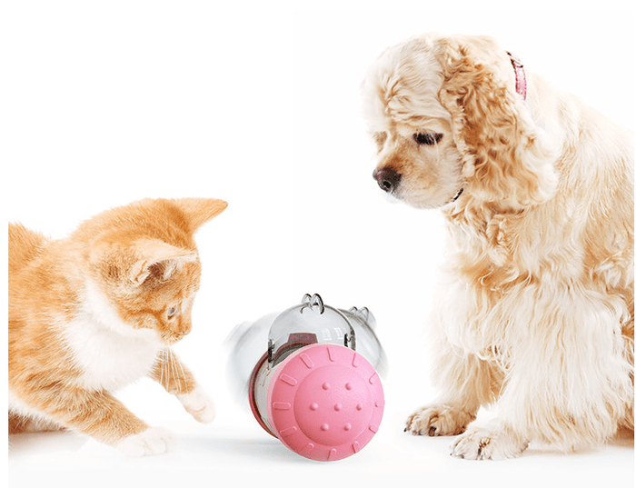 Treat Dispensing Dog Toy – Interactive Balance Toy for Mental Stimulation
