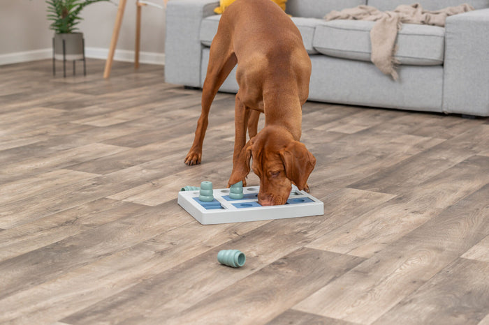 Trixie Dog Chess (Level 3) | Strategy Game Puzzle Toy