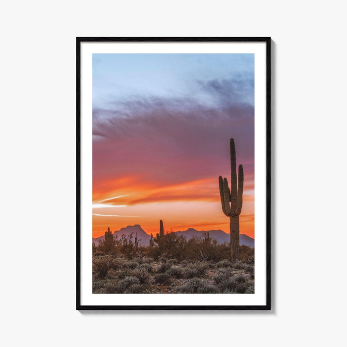 Tucson Arizona Fine Art Photo Print, Sonoran Desert Poster, Saguaro National Park, USA