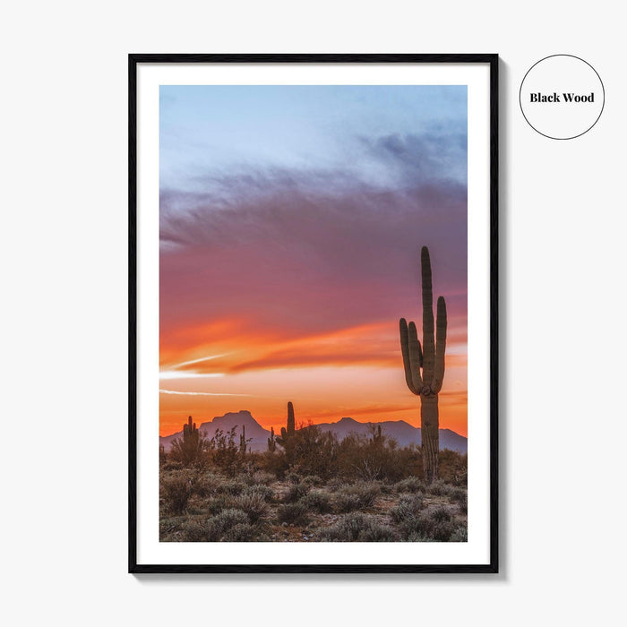 Tucson Arizona Fine Art Photo Print, Sonoran Desert Poster, Saguaro National Park, USA