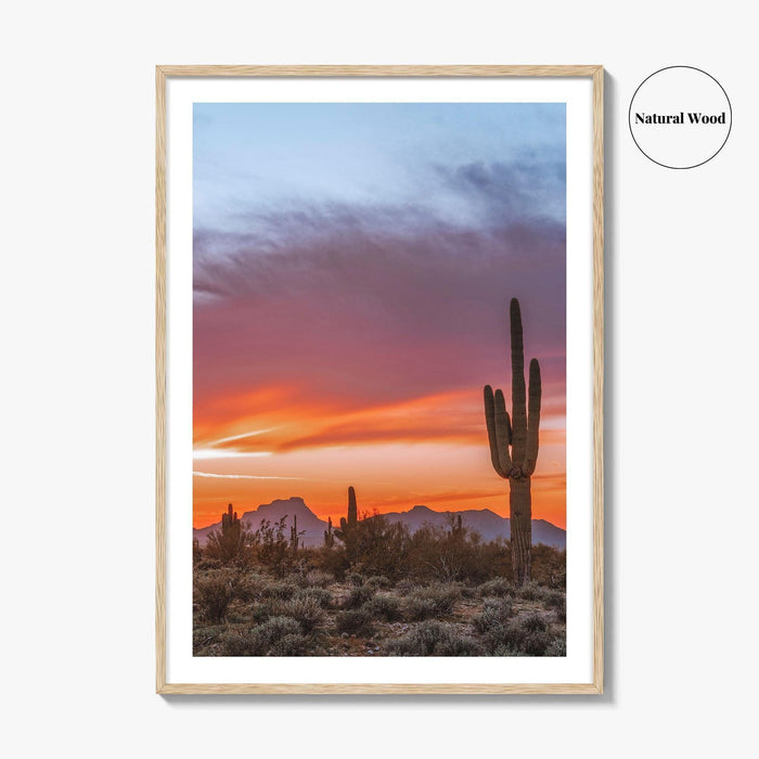 Tucson Arizona Fine Art Photo Print, Sonoran Desert Poster, Saguaro National Park, USA