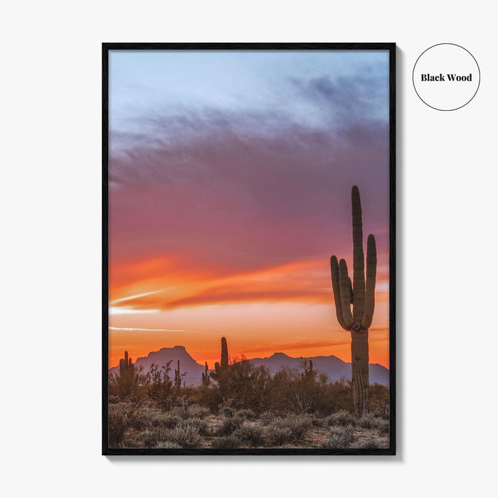 Tucson Arizona Fine Art Photo Print, Sonoran Desert Poster, Saguaro National Park, USA