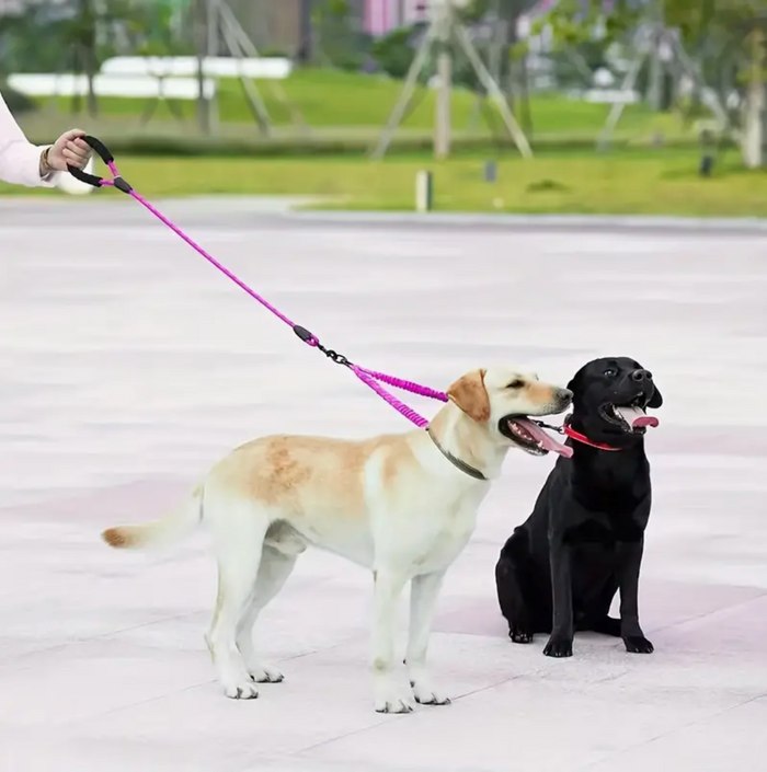 Two-Dog No-Pull 360° Swivel Leash | Tangle-Free Dual Dog Lead