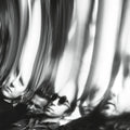 Ty Segall - Chrome