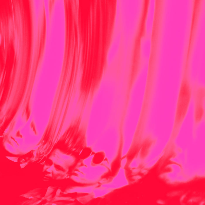 Ty Segall - Love Fuzzz