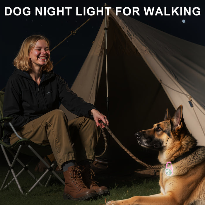 USB Rechargeable LED Pet Collar Light for Safe Night Walks & Outdoor Use