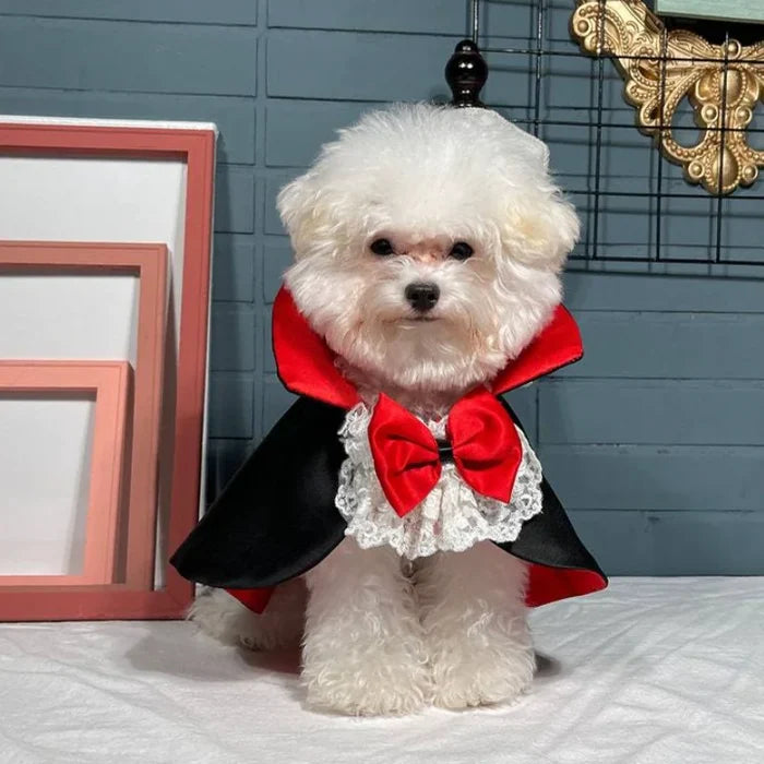 Vampire Dog Costume Cape | Halloween Prince Outfit for Small & Medium Dogs