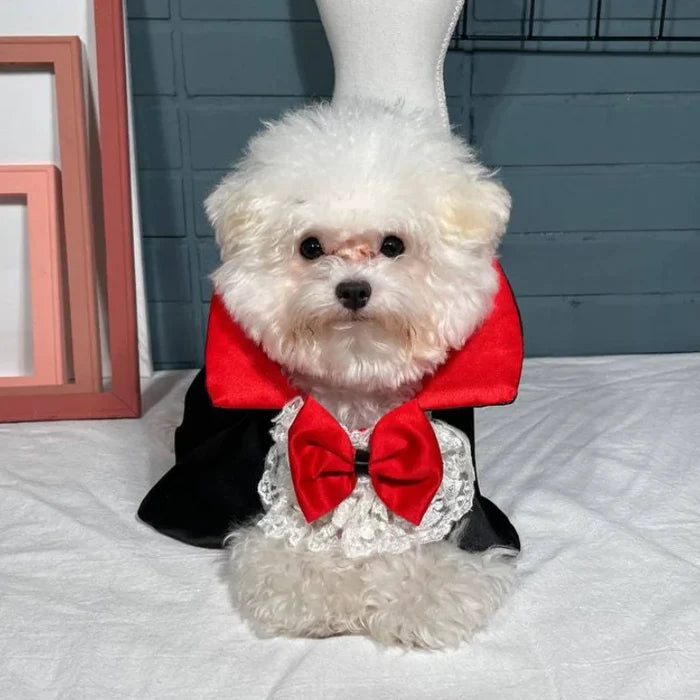 Vampire Dog Costume Cape | Halloween Prince Outfit for Small & Medium Dogs