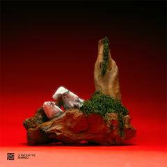Various-Curation Five: Alarico
