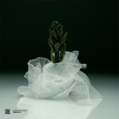Various-Curation Four: Freddy K