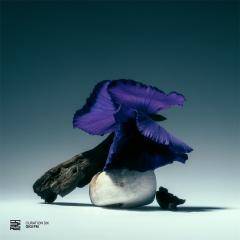 Various-Curation Six: GiGI FM
