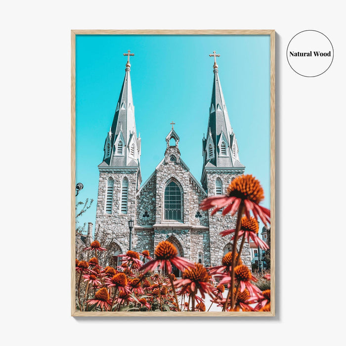 Villanova Fine Art Photo Print, Saint Thomas Poster