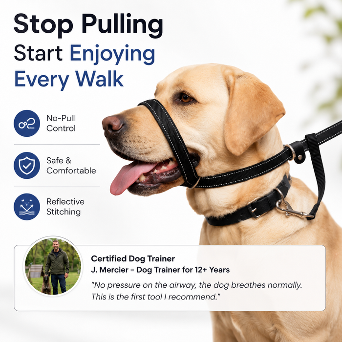 WalkEasy | No-Pull Dog Leash - Reflective Padded Lead for Comfortable Walks