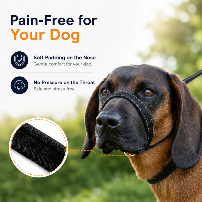WalkEasy | No-Pull Dog Leash - Reflective Padded Lead for Comfortable Walks