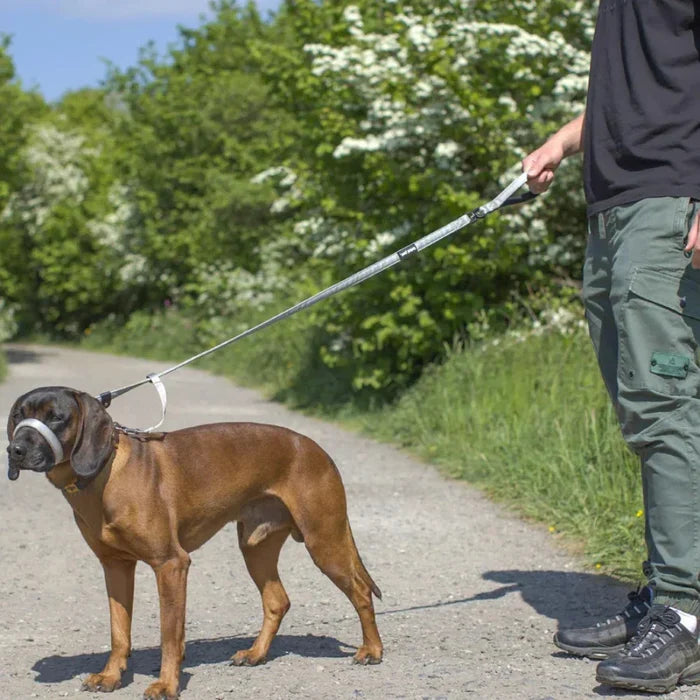 WalkEasy | No-Pull Dog Leash - Reflective Padded Lead for Comfortable Walks