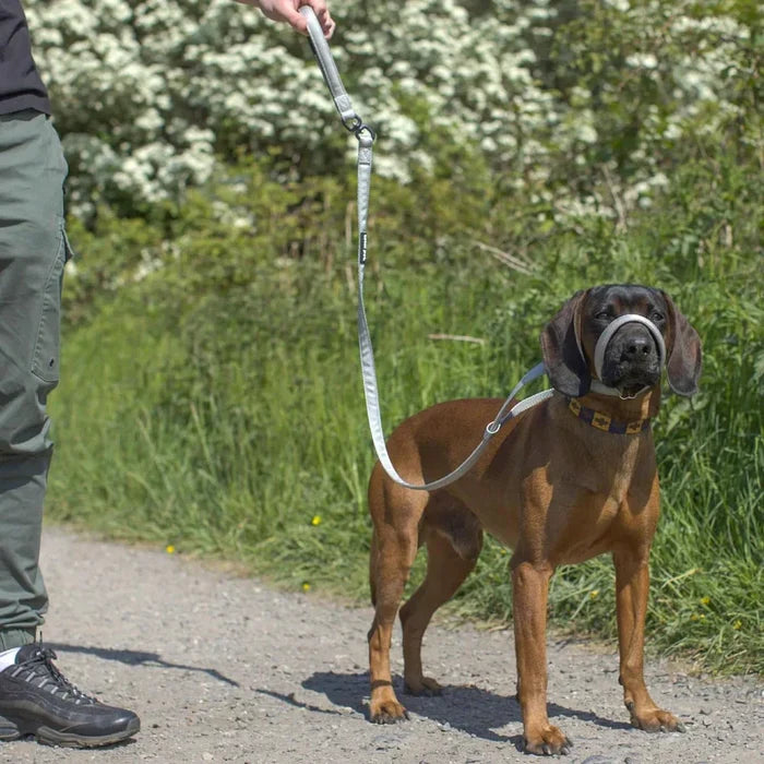 WalkEasy | No-Pull Dog Leash - Reflective Padded Lead for Comfortable Walks