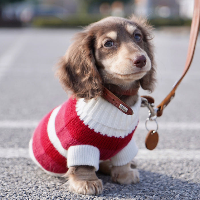 Warm Thickened Sweater for Small Pets