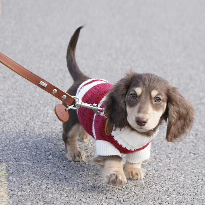 Warm Thickened Sweater for Small Pets