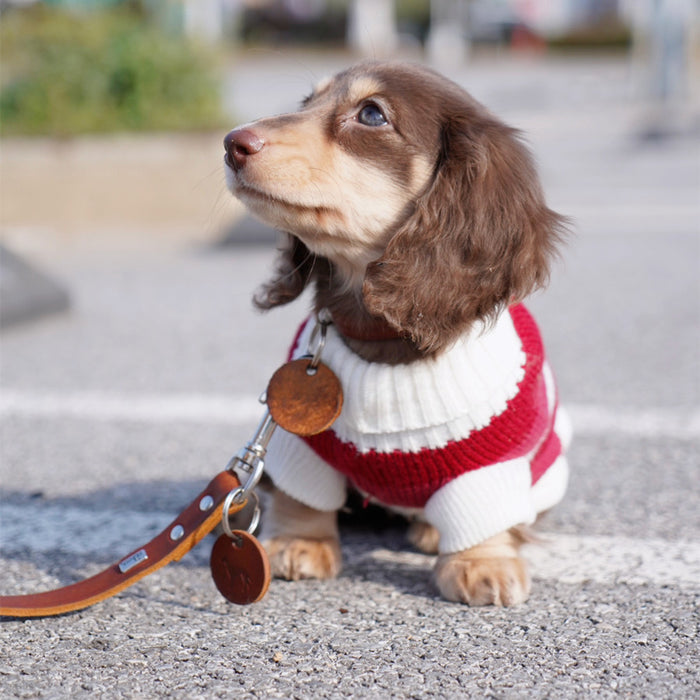 Warm Thickened Sweater for Small Pets