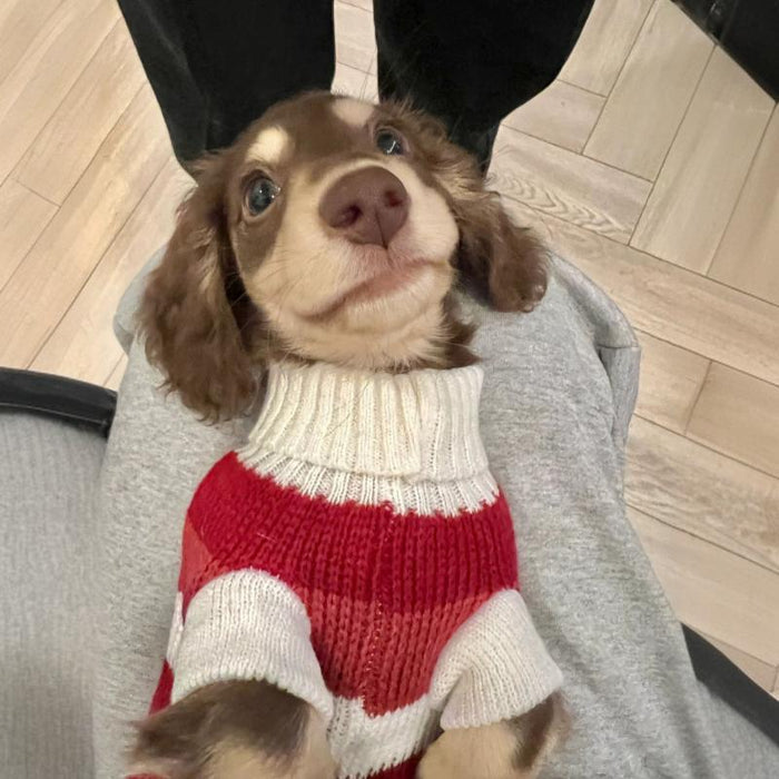 Warm Thickened Sweater for Small Pets