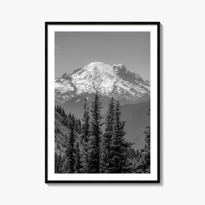 Washington State Black and White Fine Art Photo Print, Mount Rainier National Park Poster