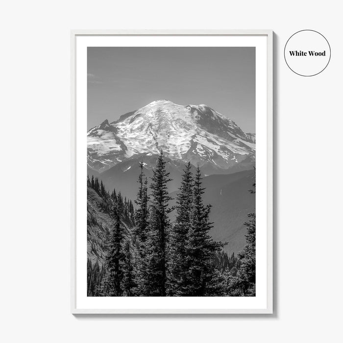 Washington State Black and White Fine Art Photo Print, Mount Rainier National Park Poster