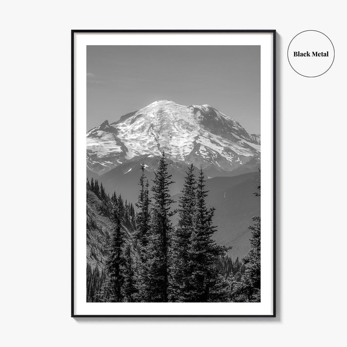Washington State Black and White Fine Art Photo Print, Mount Rainier National Park Poster