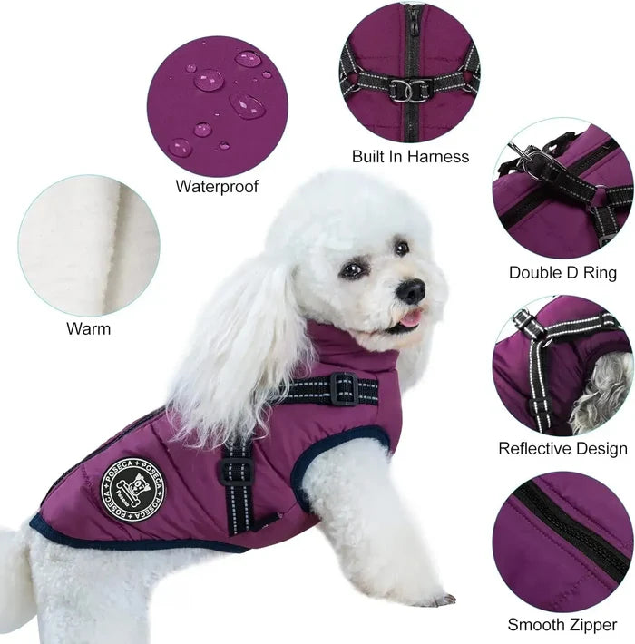 Waterproof Dog Jacket – Keep Your Pup Warm & Dry This Aussie Winter