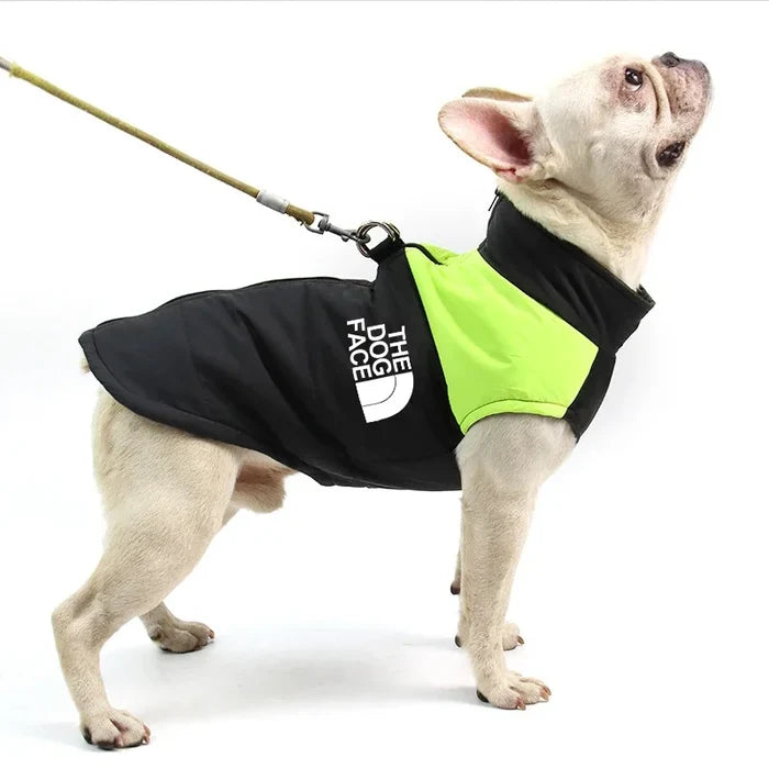 Waterproof Dog Jacket | Warm Padded Zip-Up Winter Coat