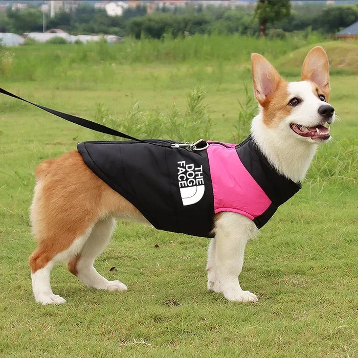 Waterproof Dog Jacket | Warm Padded Zip-Up Winter Coat