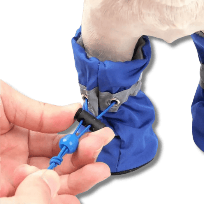Waterproof Dog Shoes for Rainy Weather – Non Slip Paw Protector Boots