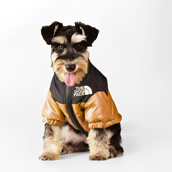 Winter Dog Puffer Jacket | Warm, Windproof & Lightweight Coat